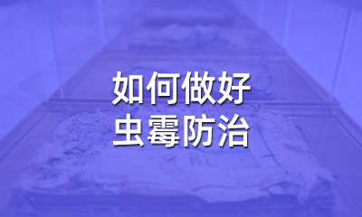 檔案修復(fù)后，如何做好蟲霉防治